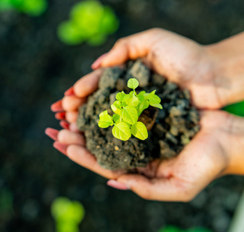 Инженерные биологические системы: междисциплинарное образование в школах - fgospostavki.ru - Сергиев Посад