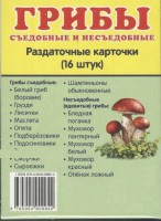 Раздаточные карточки "Грибы съедобные и не съедобные" - fgospostavki.ru - Сергиев Посад