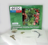 Гербарий "Основные группы растений" (52 листа) - fgospostavki.ru - Сергиев Посад
