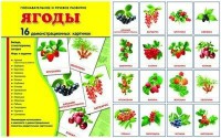 Демонстрационные карточки "Ягоды" - fgospostavki.ru - Сергиев Посад