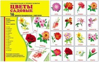 Демонстрационные карточки "Цветы садовые" - fgospostavki.ru - Сергиев Посад