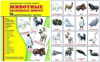 Демонстрационные карточки "Животные холодных широт" - fgospostavki.ru - Сергиев Посад