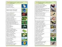 Комплект карточек (10) "Обучающий калейдоскоп. Природа" - fgospostavki.ru - Сергиев Посад