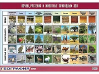 Таблица демонстрационная "Почвы, растения и животные природных зон" (винил 100*140) - fgospostavki.ru - Сергиев Посад