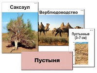 Модель-аппликация "Природные зоны России" (ламинированная) - fgospostavki.ru - Сергиев Посад