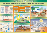 Таблица "Антропогенное воздействие на биосферу" (100х140 сантиметров, винил) - fgospostavki.ru - Сергиев Посад
