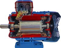 Учебная модель «Электродвигатель асинхронный в разрезе» - fgospostavki.ru - Сергиев Посад