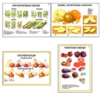 Плакаты ПРОФТЕХ "Ассортимент овощных культур" (12 пл, винил, 70х100) - fgospostavki.ru - Сергиев Посад