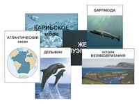 Модель-аппликация "Океаны. Знакомство" (ламинированная) - fgospostavki.ru - Сергиев Посад