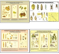 Плакаты ПРОФТЕХ "Вредители и болезни с/х культур и меры борьбы с ними" (11 пл, винил, 70х100) - fgospostavki.ru - Сергиев Посад