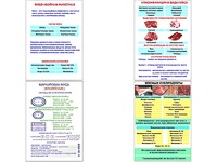 Плакаты ПРОФТЕХ "Классификации и виды мяса" (4 пл, винил, 70х100) - fgospostavki.ru - Сергиев Посад