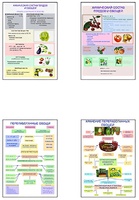 Плакаты ПРОФТЕХ "Классификация овощей и переработка" (8 пл, винил, 70х100) - fgospostavki.ru - Сергиев Посад