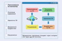 Интерактивные курсы. Информатика 10 класс . Базовый. - fgospostavki.ru - Сергиев Посад