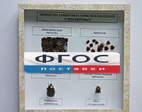 Коллекция энтомологическая "Примеры защитных приспособлений у насекомых" - fgospostavki.ru - Сергиев Посад