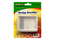 Набор микропрепаратов для микроскопа №2 «Насекомые» - fgospostavki.ru - Сергиев Посад