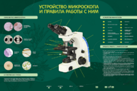 Электрифицированный стенд "Устройство микроскопа и правила работы c ним" - fgospostavki.ru - Сергиев Посад