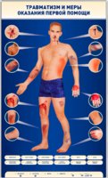 Электрифицированный стенд-тренажер "Травматизм и меры оказания первой помощи" - fgospostavki.ru - Сергиев Посад
