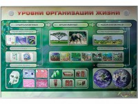 Электрифицированный стенд "Уровни организации жизни" - fgospostavki.ru - Сергиев Посад