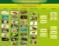 Стенд "Систематика животных" - fgospostavki.ru - Сергиев Посад