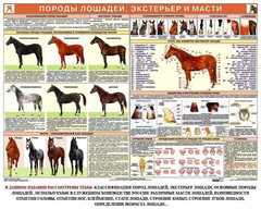 Комплект плакатов "Служебное коневодство" - fgospostavki.ru - Сергиев Посад