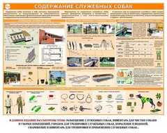 Комплект плакатов "Кинология" - fgospostavki.ru - Сергиев Посад