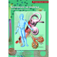 Интерактивные плакаты. Биология человека. Программно-методический комплекс - fgospostavki.ru - Сергиев Посад