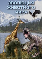 DVD "Эволюция животного мира" - fgospostavki.ru - Сергиев Посад