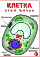 DVD "Клетка - "атом жизни" - fgospostavki.ru - Сергиев Посад