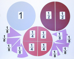 Набор магнитных карточек "Доли и дроби - 1" - fgospostavki.ru - Сергиев Посад