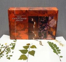 Гербарий для Начальной школы (28 видов) - fgospostavki.ru - Сергиев Посад