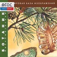 Ботаника. Микрофотографии. (Цифровая база изображений) - fgospostavki.ru - Сергиев Посад