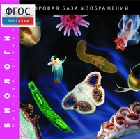Биология. Микрофотографии. (Цифровая база изображений) - fgospostavki.ru - Сергиев Посад