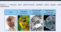 Интерактивные курсы. Биология 5 класс. Расширенный - fgospostavki.ru - Сергиев Посад