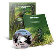 Электронное наглядное пособие «Птицы» - fgospostavki.ru - Сергиев Посад