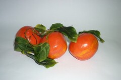 Ветка муляжей "Гранат" - fgospostavki.ru - Сергиев Посад