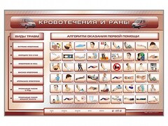 Трехсекционный базовый комплект "Травмы. Кровотечения. Ожоги" для учащихся общеобразовательных учреждений - fgospostavki.ru - Сергиев Посад