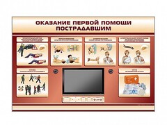 Многофункциональный интерактивный стенд-тренажер "Оказание первой помощи пострадавшим" для учащихся общеобразовательных учреждений - fgospostavki.ru - Сергиев Посад