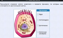 Интерактивные курсы. Биология 8 класс. Базовый - fgospostavki.ru - Сергиев Посад