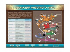 Интерактивный электрифицированный стенд "Эволюция животного мира" - fgospostavki.ru - Сергиев Посад