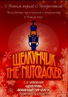 DVD "Щелкунчик. Волшебный мир балета" сказка-балет для детей - fgospostavki.ru - Сергиев Посад
