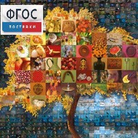 Начальная школа. Иностранный язык. (Цифровая база изображений) - fgospostavki.ru - Сергиев Посад