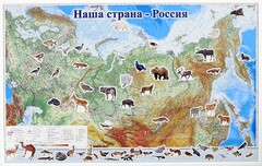 Магнитные карточки "Животные" - fgospostavki.ru - Сергиев Посад
