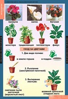 Комплект таблиц. Окружающий мир 1 класс. - fgospostavki.ru - Сергиев Посад