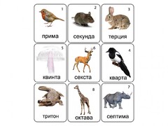 Набор магнитных карточек по музыке "Животные" (9 штук) - fgospostavki.ru - Сергиев Посад