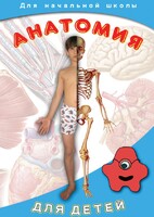 DVD "Анатомия для детей" - fgospostavki.ru - Сергиев Посад