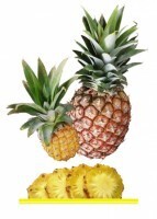 Комплект карточек "Запоминай, играй, считай" - Фрукты - fgospostavki.ru - Сергиев Посад