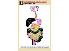 Рельефная таблица "Пищеварительный тракт" (формат А1, матовое ламинирование) - fgospostavki.ru - Сергиев Посад