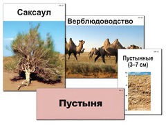 Модель-аппликация "Природные зоны России" (ламинированная) - fgospostavki.ru - Сергиев Посад