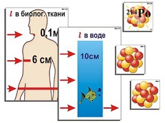 Модель-аппликация "Явление радиоактивности" (ламинированная) - fgospostavki.ru - Сергиев Посад