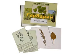 Гербарий "Лекарственные растения" (22 вида с иллюстрациями) - fgospostavki.ru - Сергиев Посад